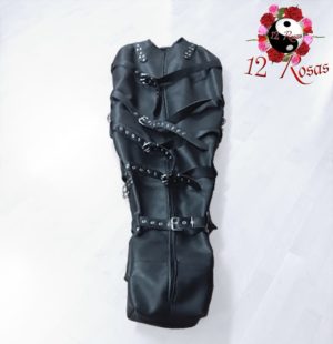 Sarcófago de cuero Frontal 2