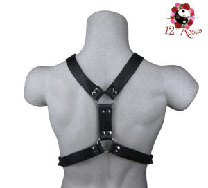 Arnés Atticus Negro Trasero